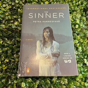The Sinner by Petra Hammesfahr Book (Thriller)